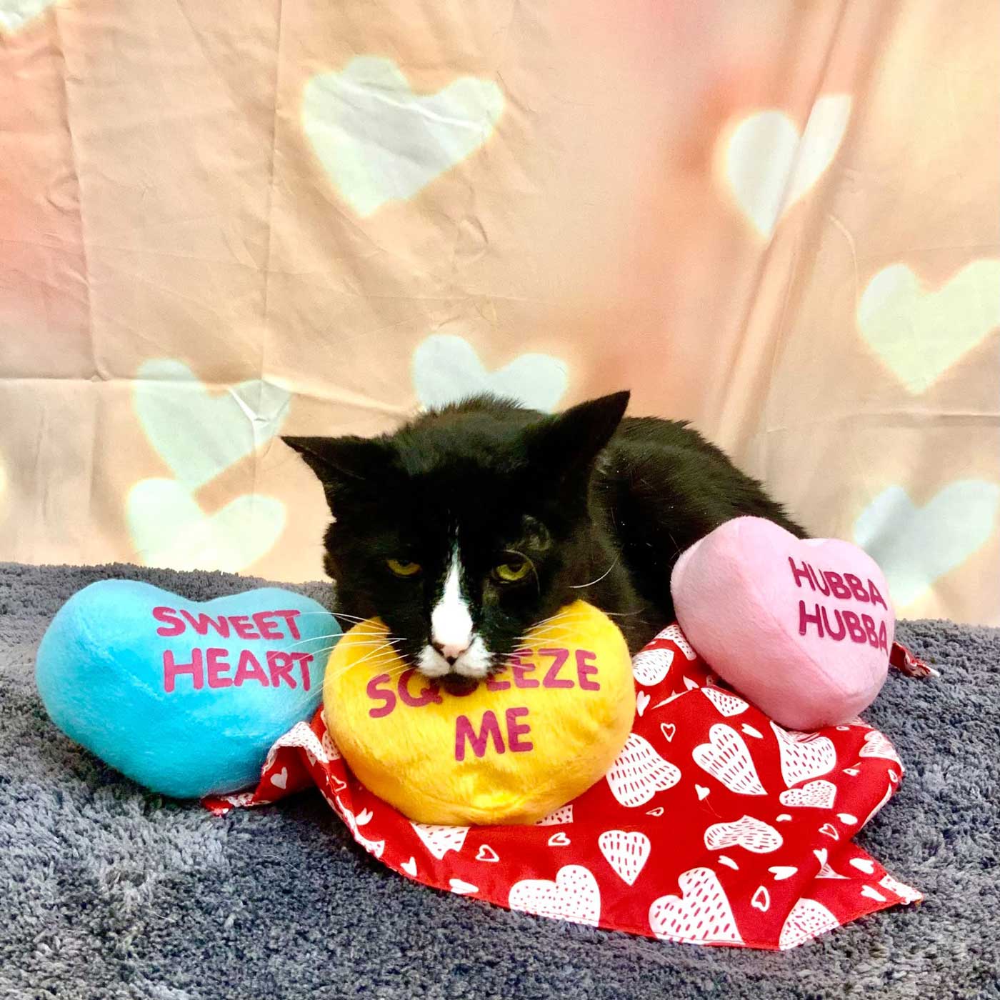 Valentine’s Day Reflections: The Love You Deserve